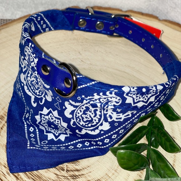 Brandera dog or cat collar for small to medium - Picture 6 of 7